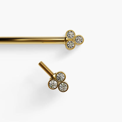 Dot Nipple Barbell